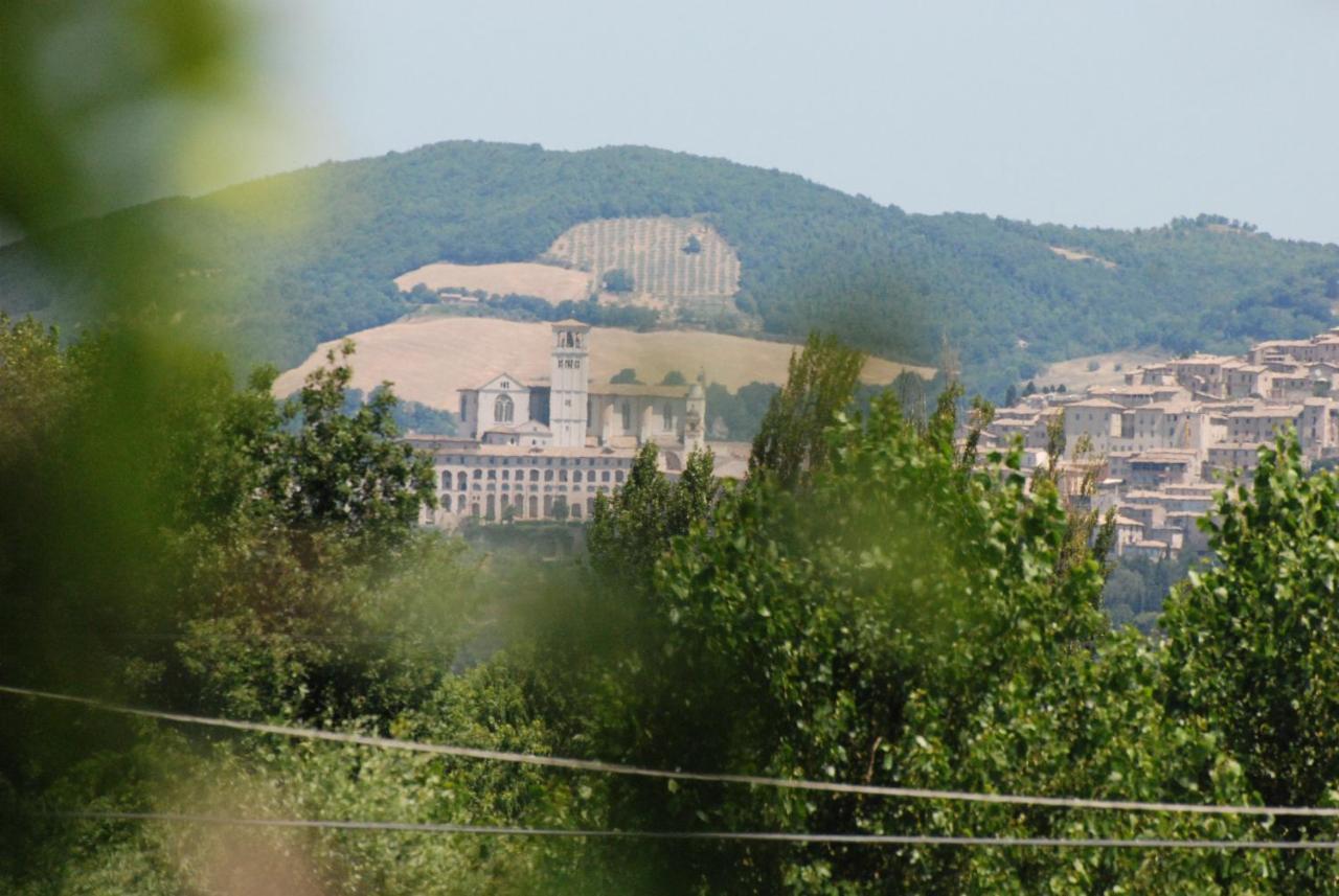 Agriturismo"Il Sagrato Di Assisi" Appartamenti,Camere المظهر الخارجي الصورة