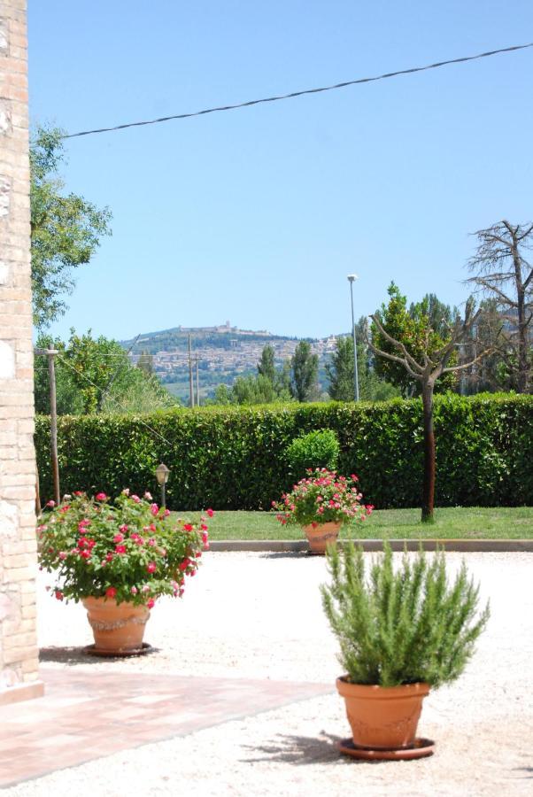 Agriturismo"Il Sagrato Di Assisi" Appartamenti,Camere المظهر الخارجي الصورة