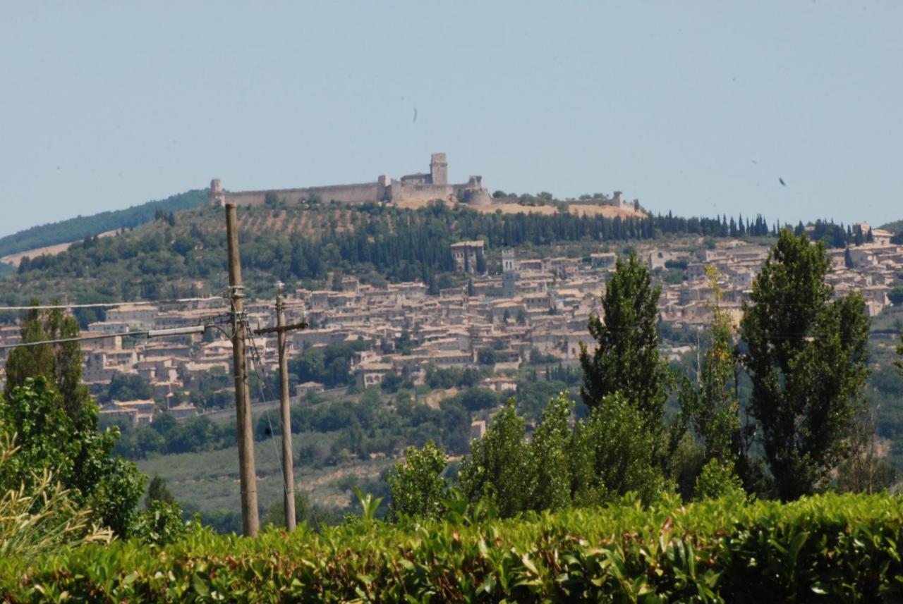 Agriturismo"Il Sagrato Di Assisi" Appartamenti,Camere المظهر الخارجي الصورة