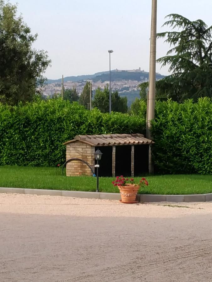 Agriturismo"Il Sagrato Di Assisi" Appartamenti,Camere المظهر الخارجي الصورة