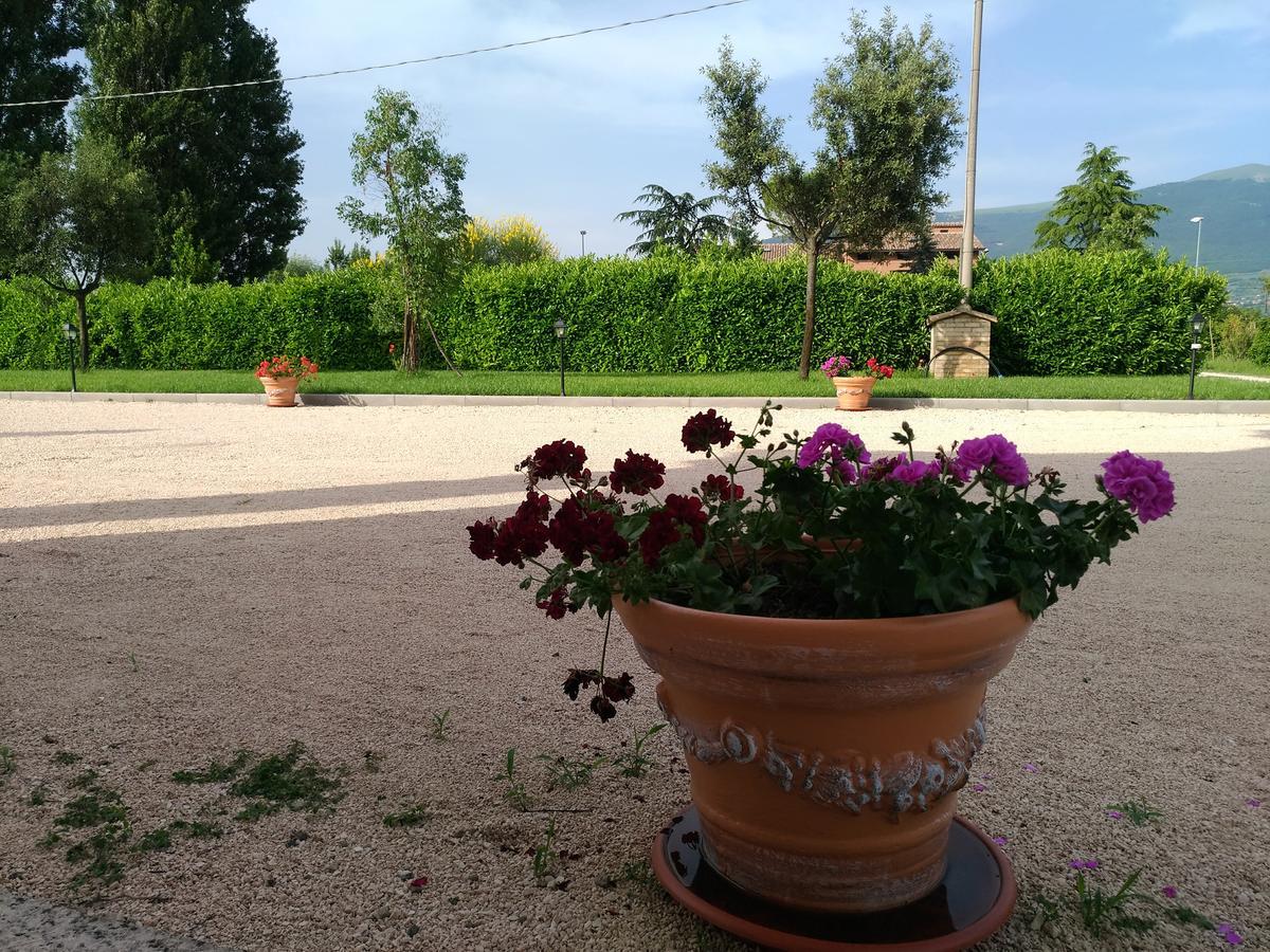 Agriturismo"Il Sagrato Di Assisi" Appartamenti,Camere المظهر الخارجي الصورة