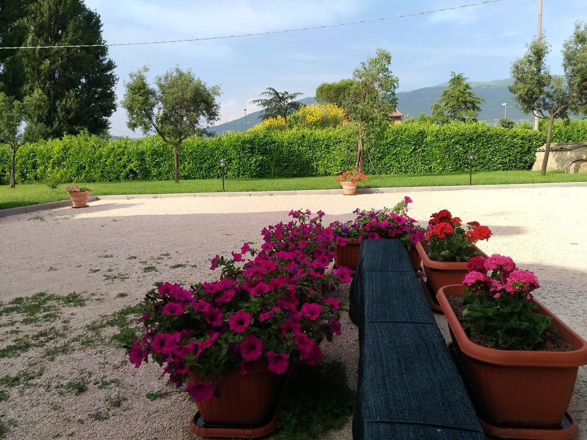 Agriturismo"Il Sagrato Di Assisi" Appartamenti,Camere المظهر الخارجي الصورة