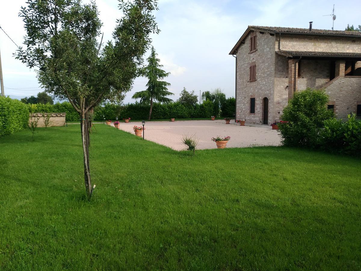 Agriturismo"Il Sagrato Di Assisi" Appartamenti,Camere المظهر الخارجي الصورة