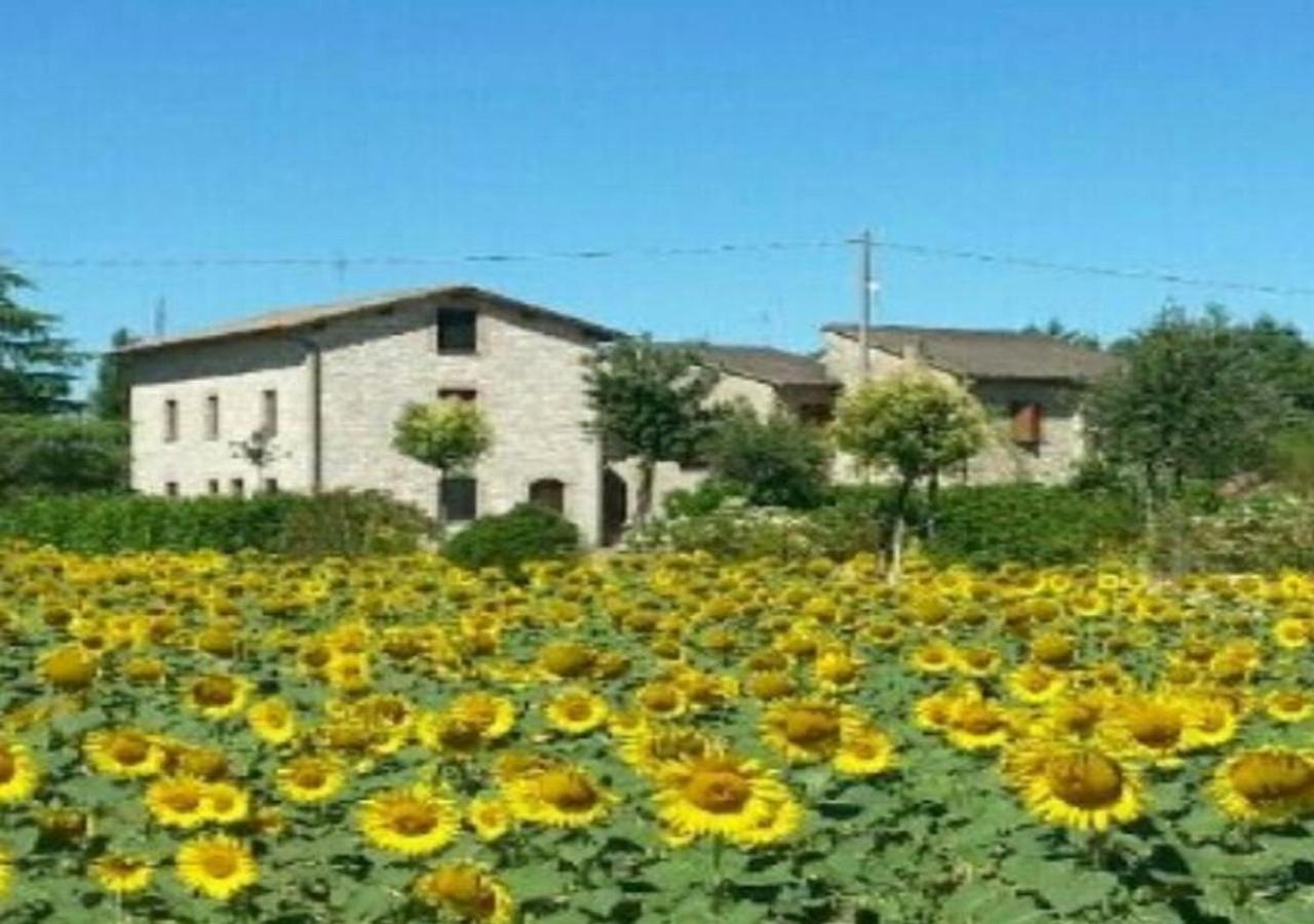 Agriturismo"Il Sagrato Di Assisi" Appartamenti,Camere المظهر الخارجي الصورة